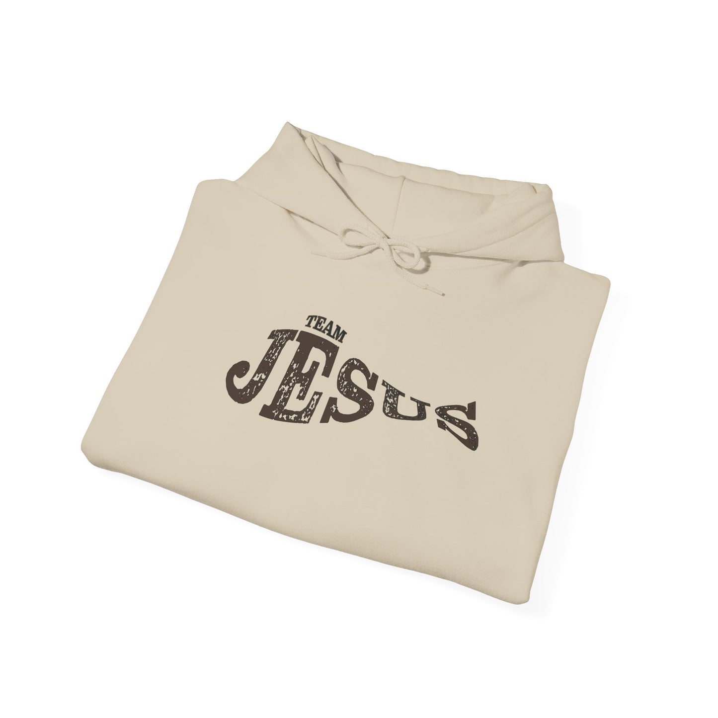 Jesus Fish Hooded Sweatshirt