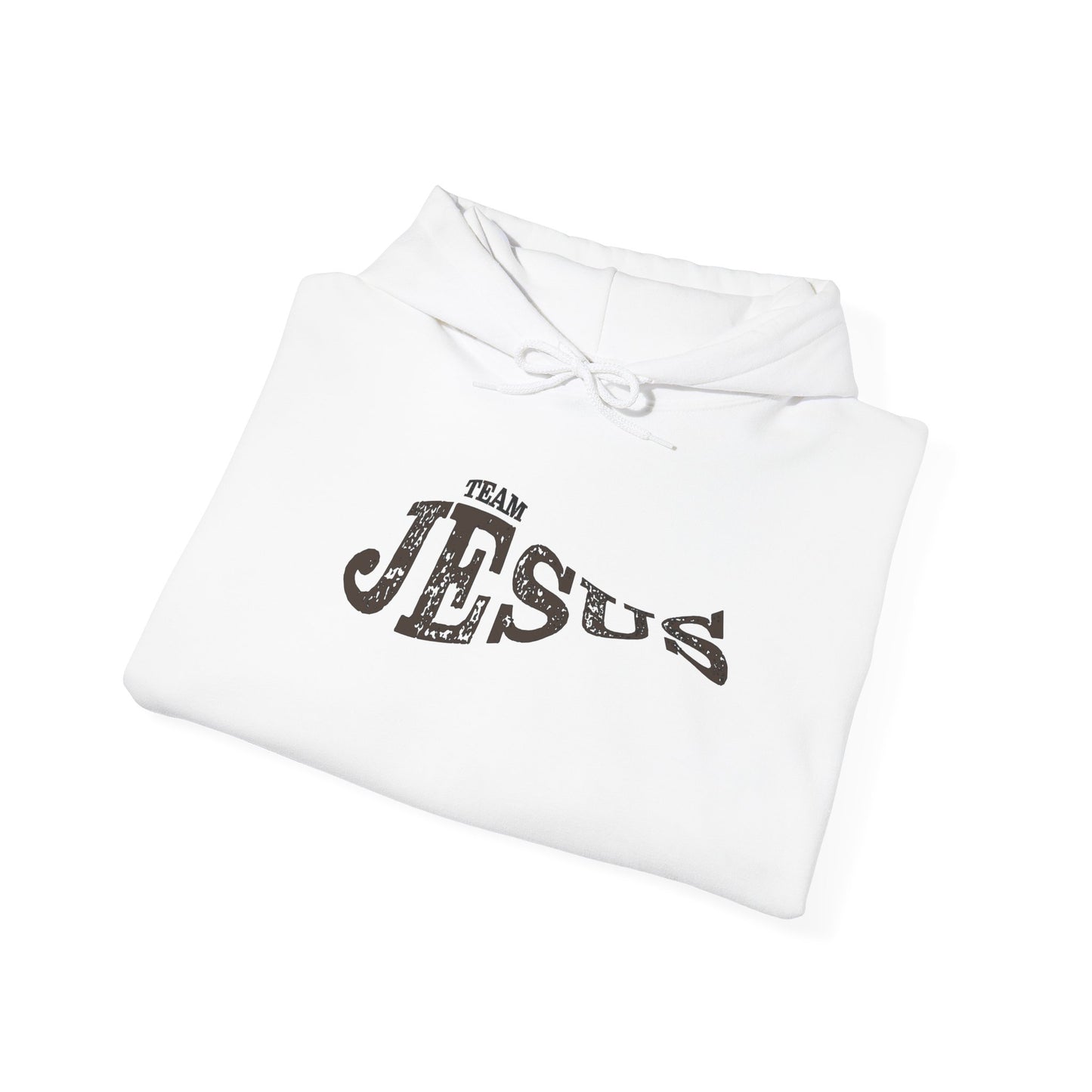 Jesus Fish Hooded Sweatshirt